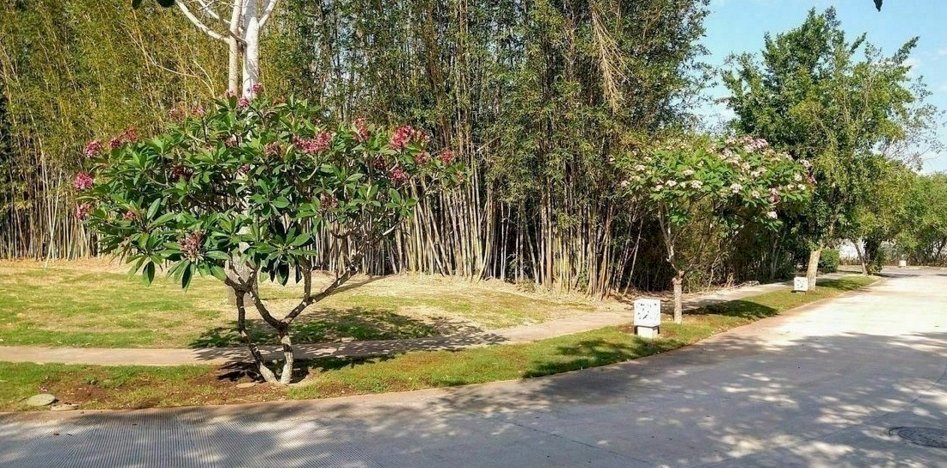 Lote en Yucatán Country Club, mod. Tumin 40