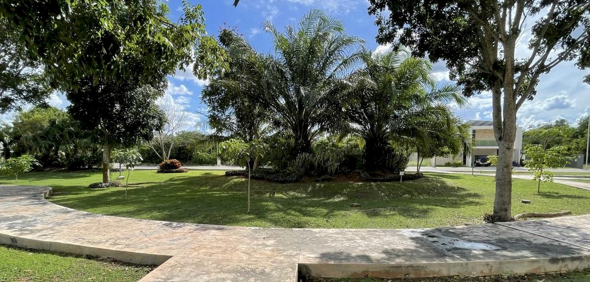 Lote en La Rejoyada, mod. 21 y 22