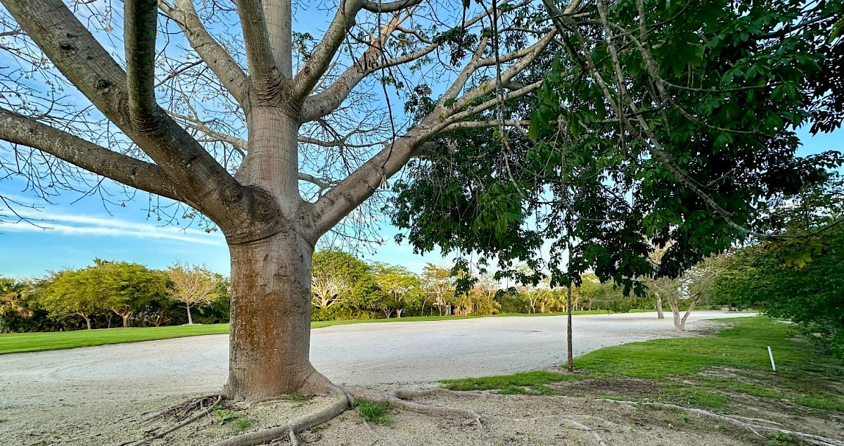 KILIL | Yucatan Country Club preventa de residencias