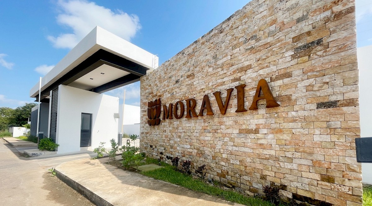 Lotes en Moravia Temozón