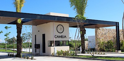 Lotes en Camelia