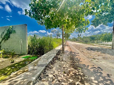 Lote en Olivia, mod. H